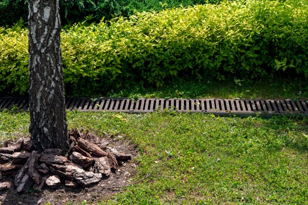 Cost of Yard Water Redirection in Lima