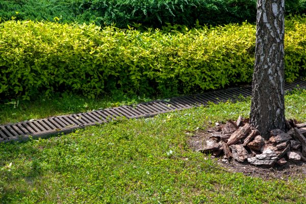 Cost of Residential Landscape Drainage in Lima