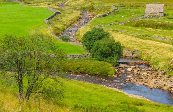 Cost of Swale Repair in Lima
